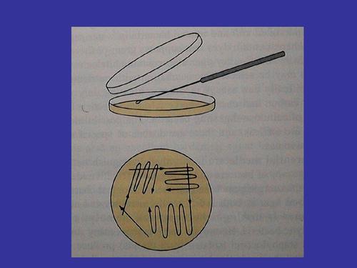 貴陽生物技術(shù)服務(wù)公司 貴陽生物技術(shù)服務(wù)公司